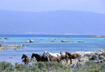 photo Sardinia 2
